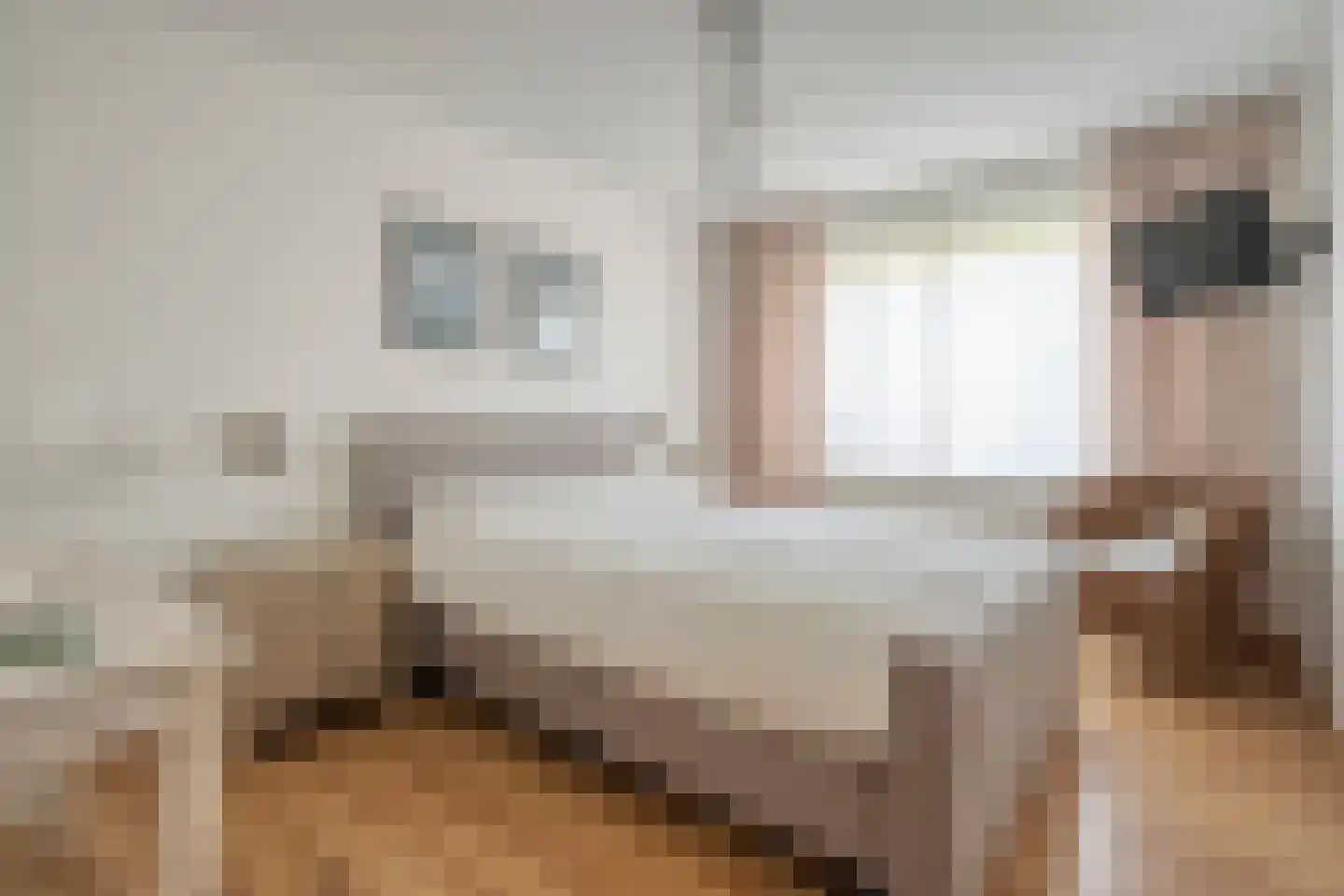 Meindert Hobbemastraat 1 Ommen thumbnail 23