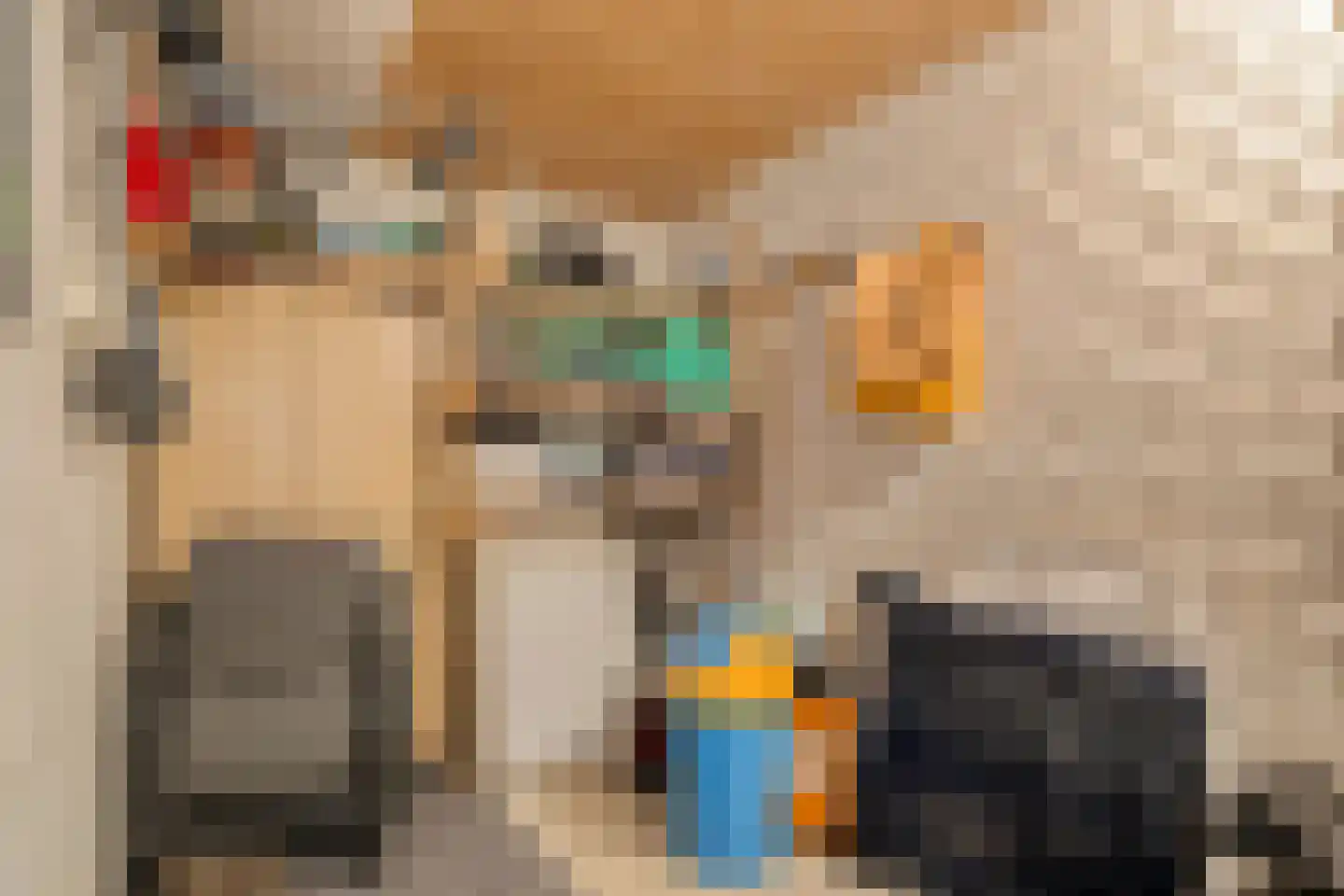 Meindert Hobbemastraat 1 Ommen thumbnail 30