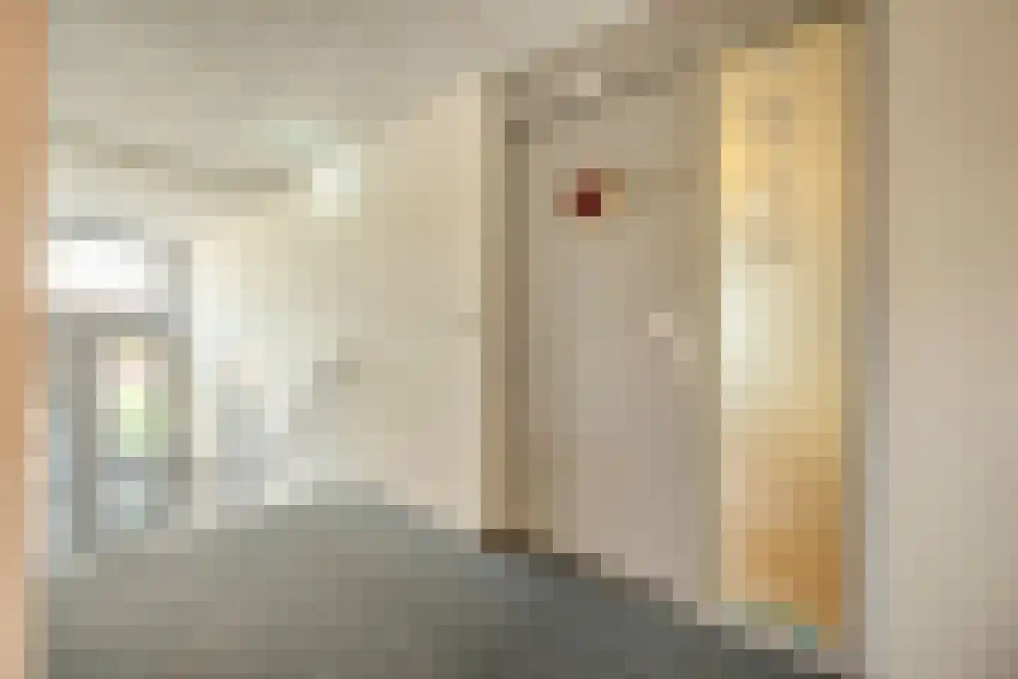 Meindert Hobbemastraat 1 Ommen thumbnail 9