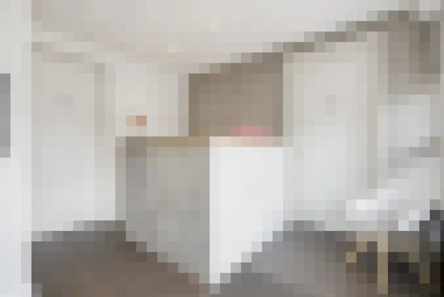 Meindert Hobbemastraat 1 Raamsdonksveer thumbnail 11