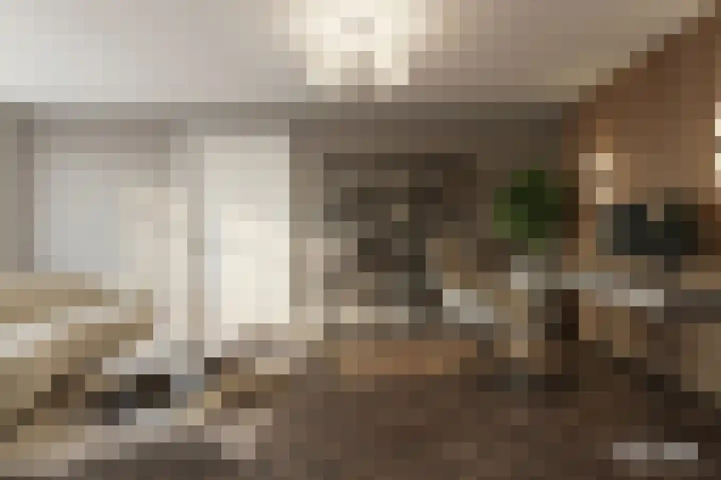 Meindert Hobbemastraat 1 Raamsdonksveer thumbnail 17