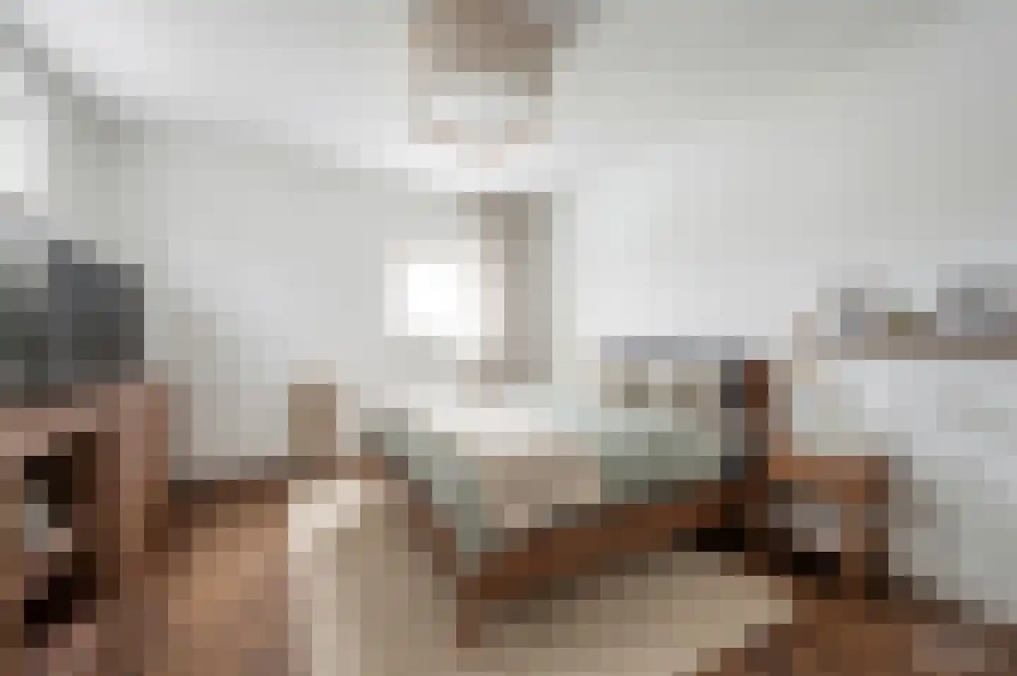 Meindert Hobbemastraat 1 Raamsdonksveer thumbnail 19