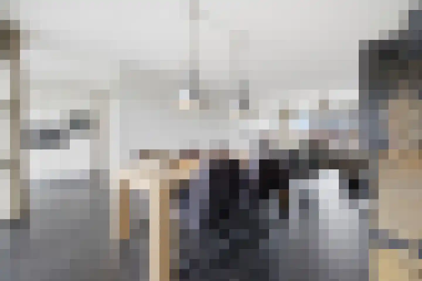 Meindert Hobbemastraat 1 Raamsdonksveer thumbnail 28