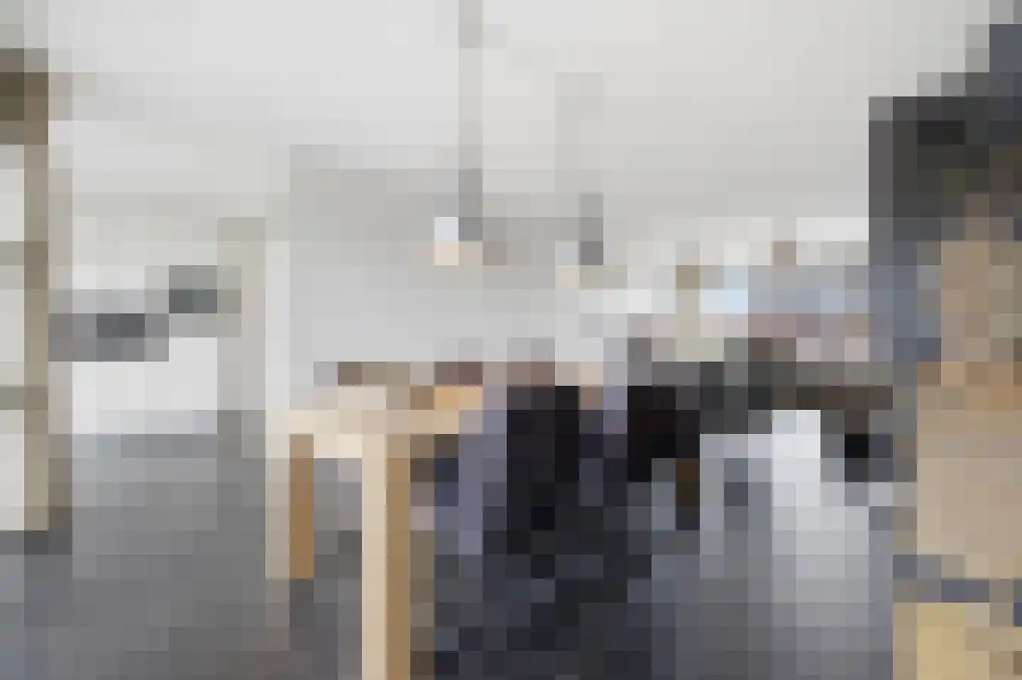 Meindert Hobbemastraat 1 Raamsdonksveer thumbnail 30