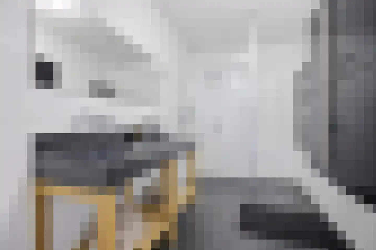 Meindert Hobbemastraat 1 Raamsdonksveer thumbnail 48