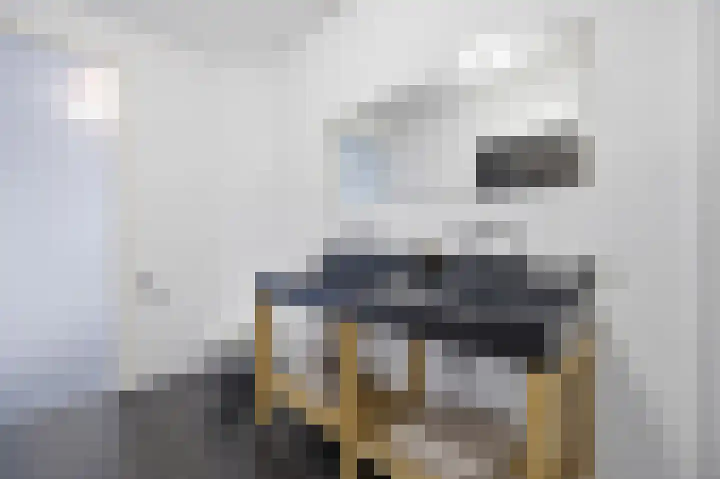 Meindert Hobbemastraat 1 Raamsdonksveer thumbnail 50