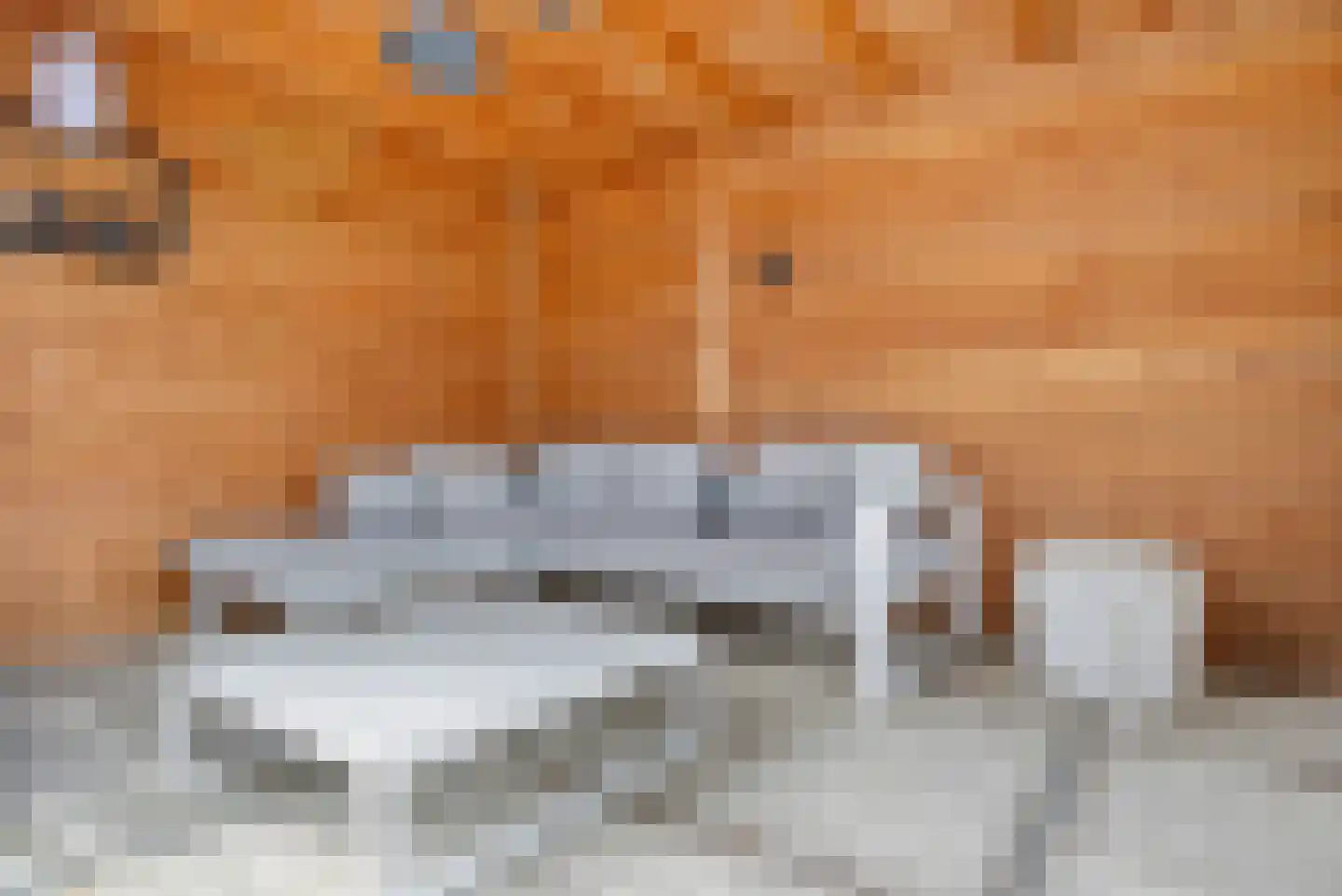 Meindert Hobbemastraat 1 Raamsdonksveer thumbnail 55
