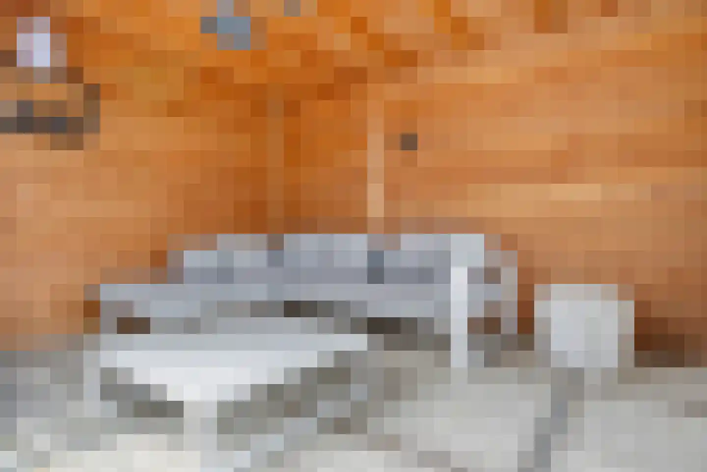 Meindert Hobbemastraat 1 Raamsdonksveer thumbnail 56
