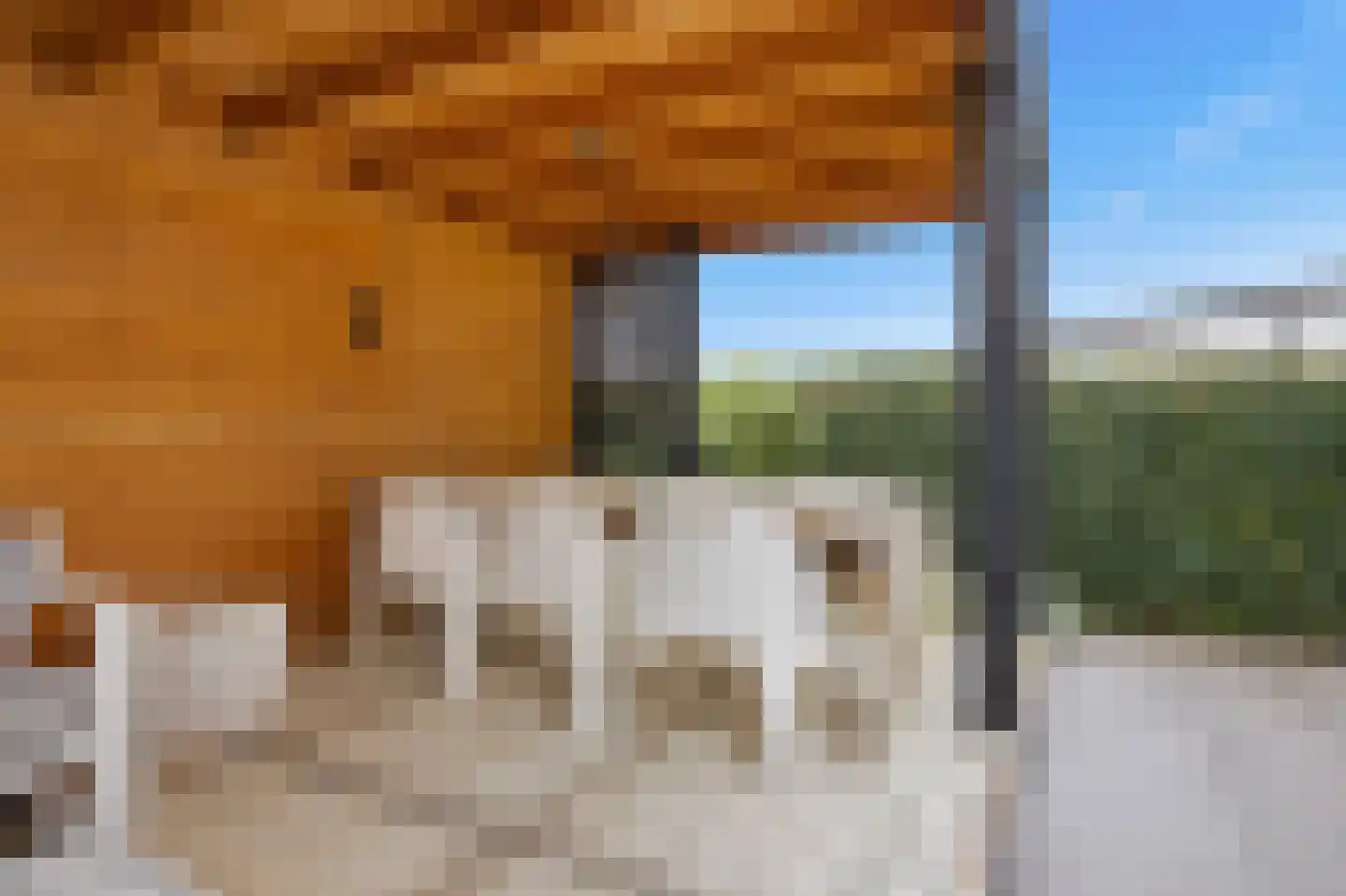 Meindert Hobbemastraat 1 Raamsdonksveer thumbnail 56