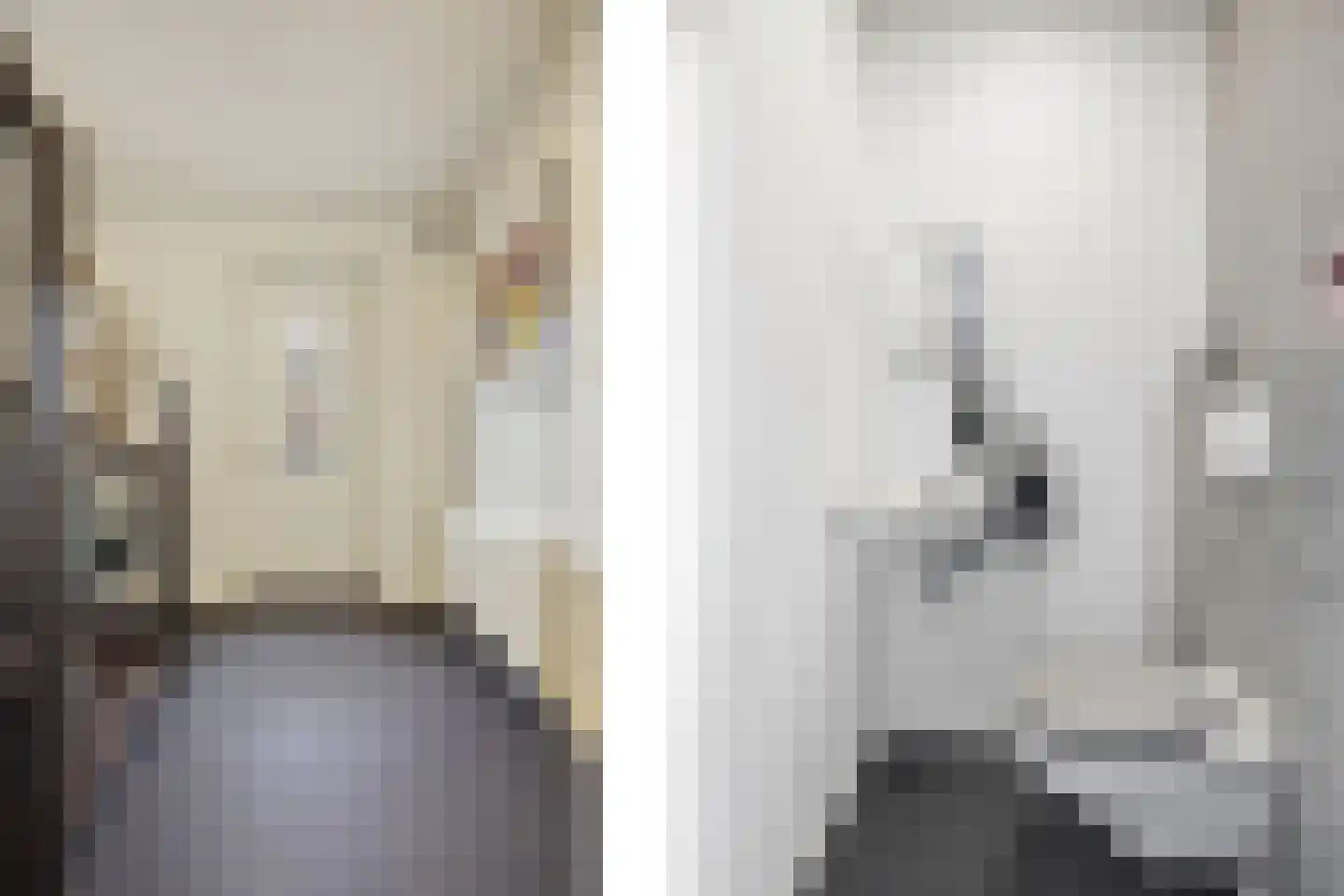 Meindert Hobbemastraat 1 Raamsdonksveer thumbnail 7