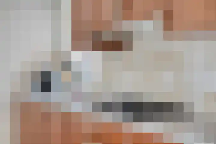 Meindert Hobbemastraat 10 Boxmeer thumbnail 17