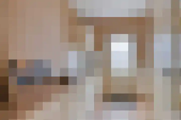 Meindert Hobbemastraat 10 Boxmeer thumbnail 18