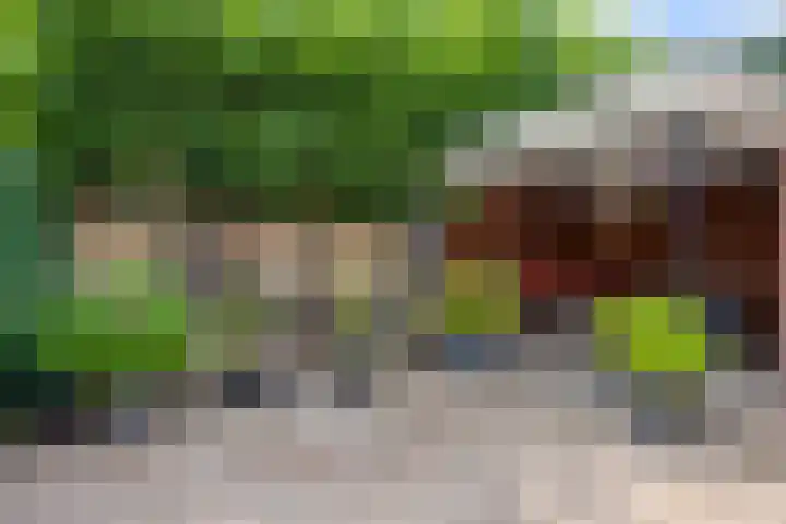 Meindert Hobbemastraat 10 Boxmeer thumbnail 25