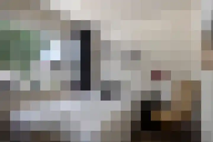 Meindert Hobbemastraat 10 Boxmeer thumbnail 34