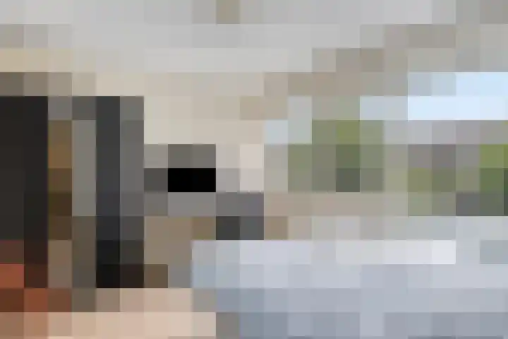 Meindert Hobbemastraat 10 Boxmeer thumbnail 36