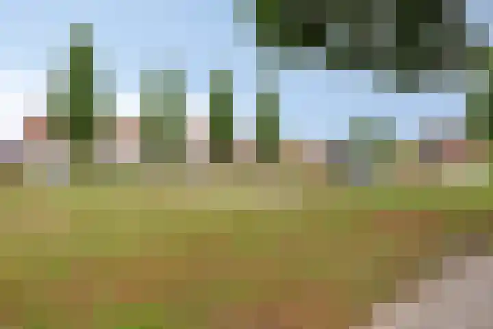 Meindert Hobbemastraat 10 Boxmeer thumbnail 38
