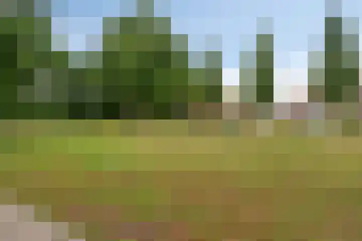 Meindert Hobbemastraat 10 Boxmeer thumbnail 39