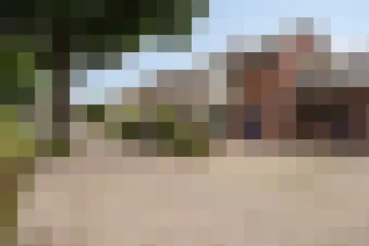Meindert Hobbemastraat 10 Boxmeer thumbnail 5