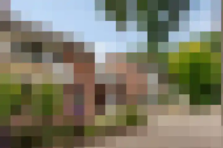 Meindert Hobbemastraat 10 Boxmeer thumbnail 6
