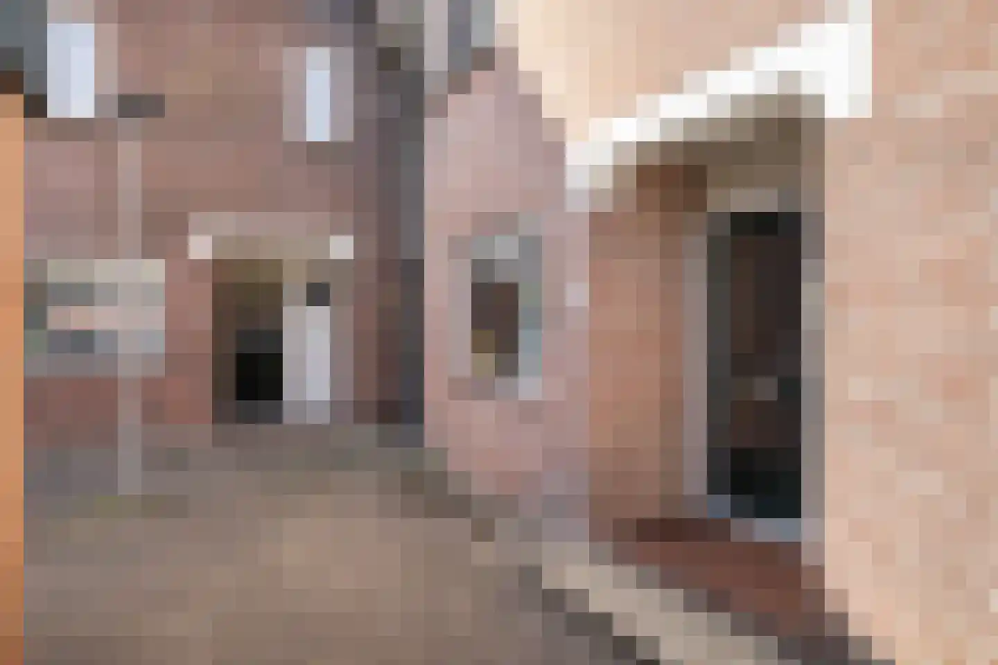 Meindert Hobbemastraat 115 Dordrecht thumbnail 29
