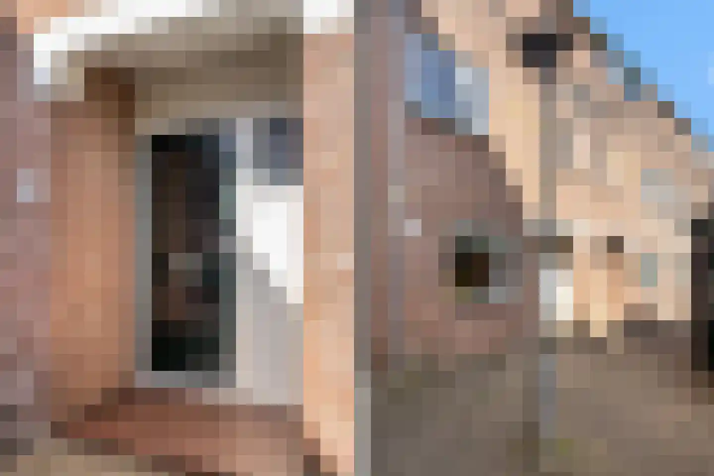 Meindert Hobbemastraat 115 Dordrecht thumbnail 6