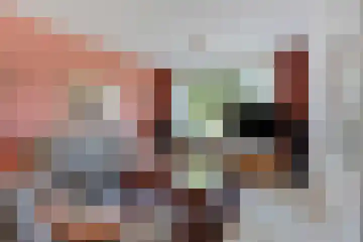 Meindert Hobbemastraat 12 Boxmeer thumbnail 13