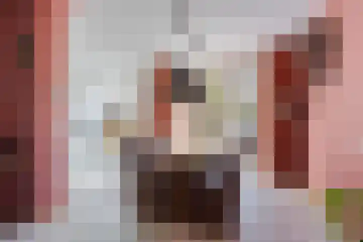 Meindert Hobbemastraat 12 Boxmeer thumbnail 15