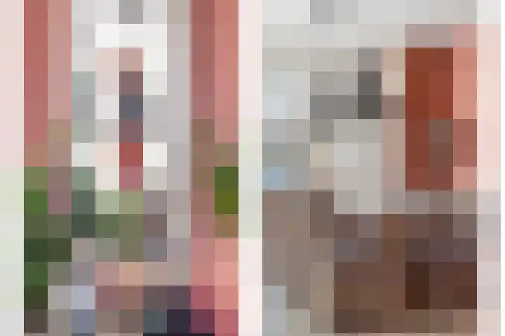 Meindert Hobbemastraat 12 Boxmeer thumbnail 16