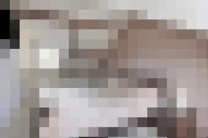 Meindert Hobbemastraat 12 Boxmeer thumbnail 32