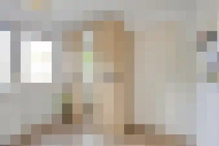 Meindert Hobbemastraat 12 Boxmeer thumbnail 39