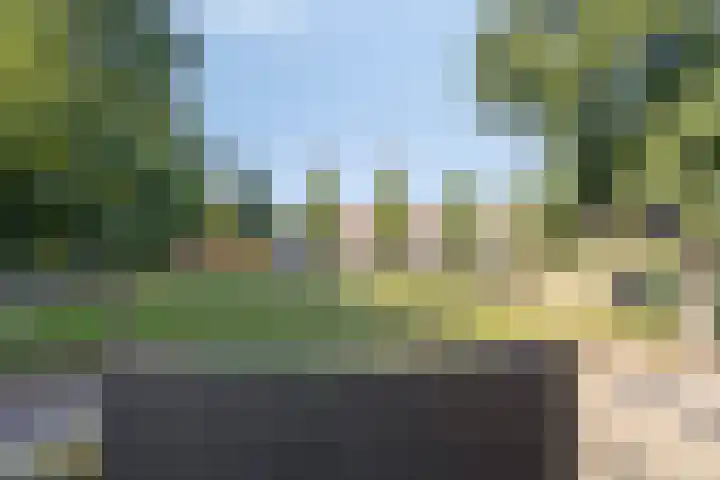 Meindert Hobbemastraat 12 Boxmeer thumbnail 40