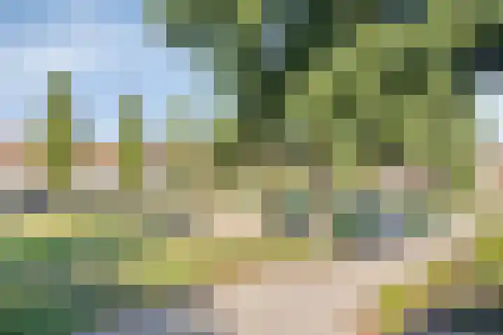 Meindert Hobbemastraat 12 Boxmeer thumbnail 41