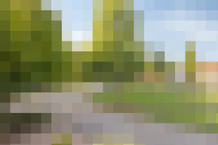 Meindert Hobbemastraat 12 Boxmeer thumbnail 42
