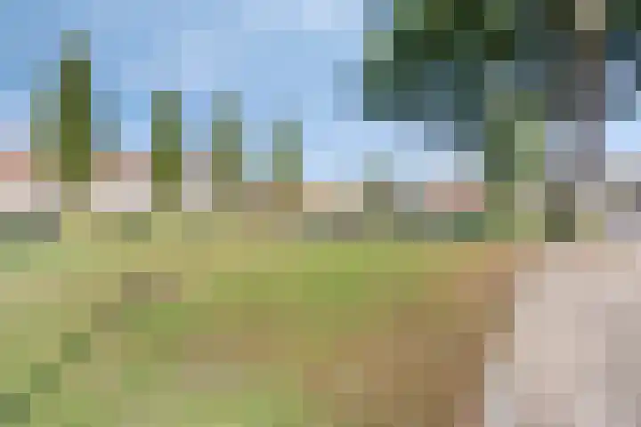 Meindert Hobbemastraat 12 Boxmeer thumbnail 43
