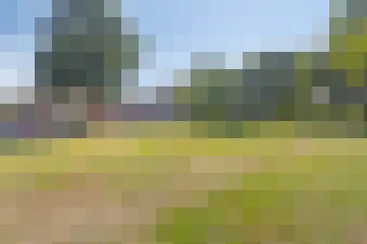 Meindert Hobbemastraat 12 Boxmeer thumbnail 44