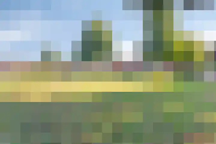 Meindert Hobbemastraat 12 Boxmeer thumbnail 45