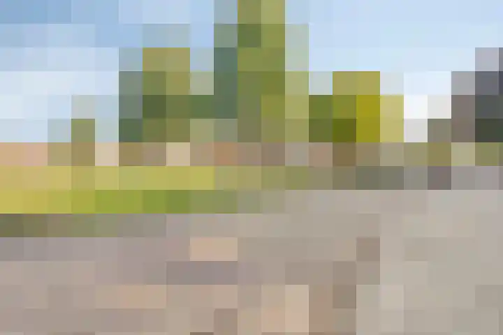 Meindert Hobbemastraat 12 Boxmeer thumbnail 46