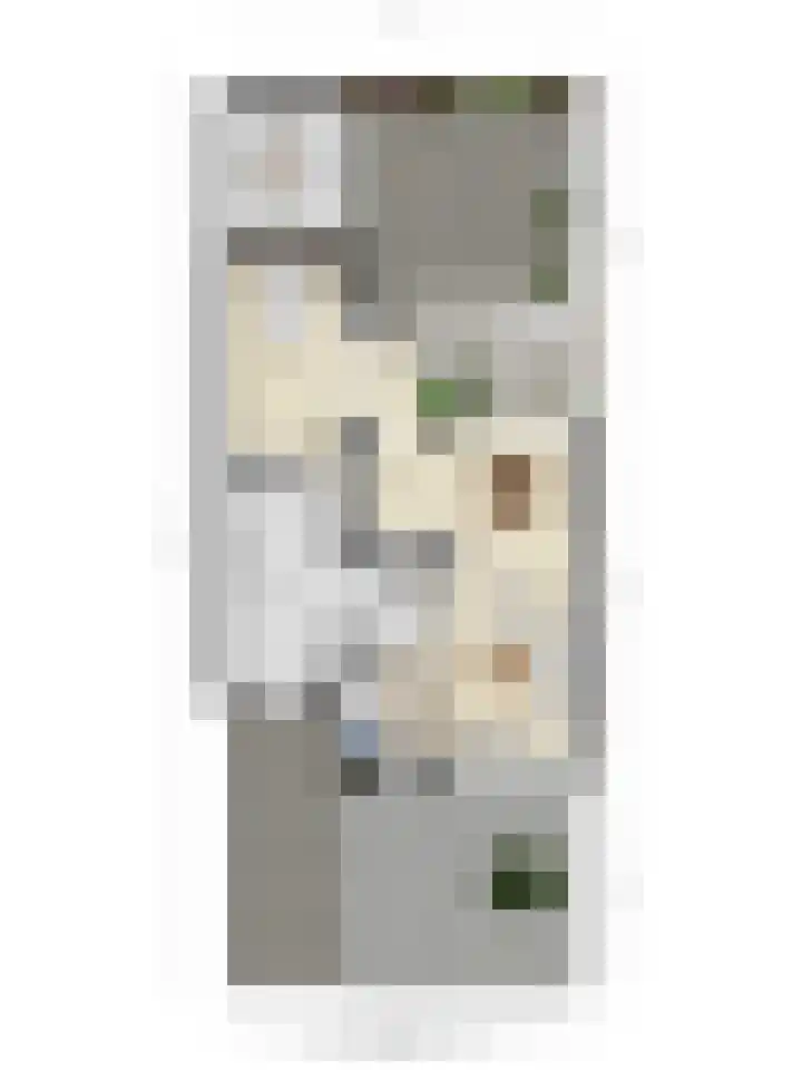Meindert Hobbemastraat 12 Boxmeer thumbnail 47