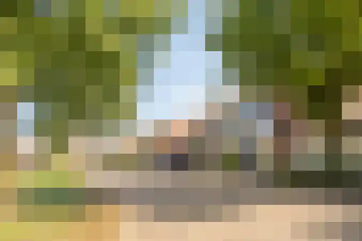 Meindert Hobbemastraat 12 Boxmeer thumbnail 7
