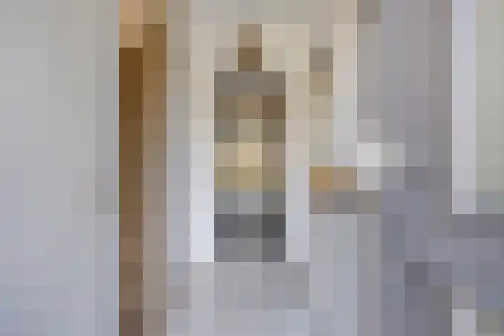Meindert Hobbemastraat 12 Boxmeer thumbnail 9