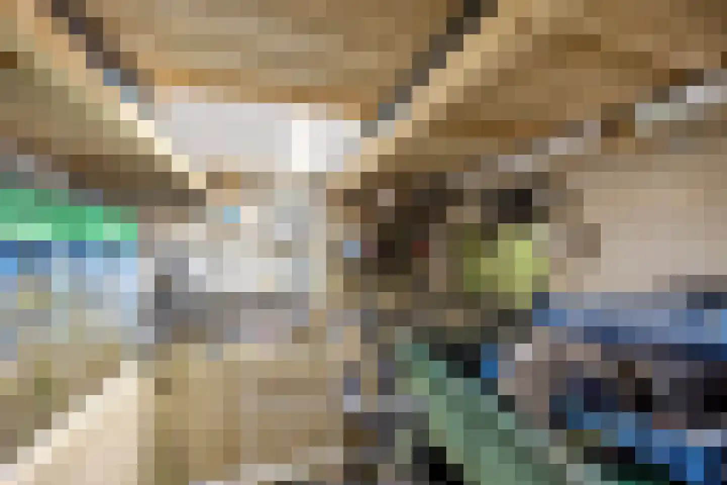 Meindert Hobbemastraat 14 Capelle aan den IJssel thumbnail 16