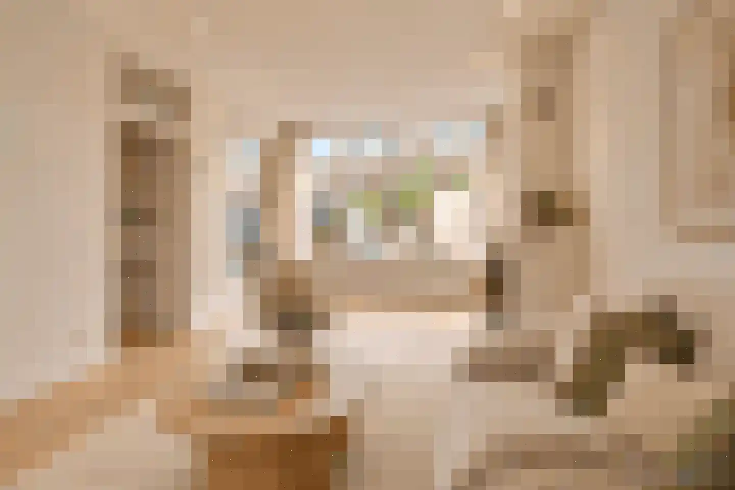 Meindert Hobbemastraat 14 Capelle aan den IJssel thumbnail 6