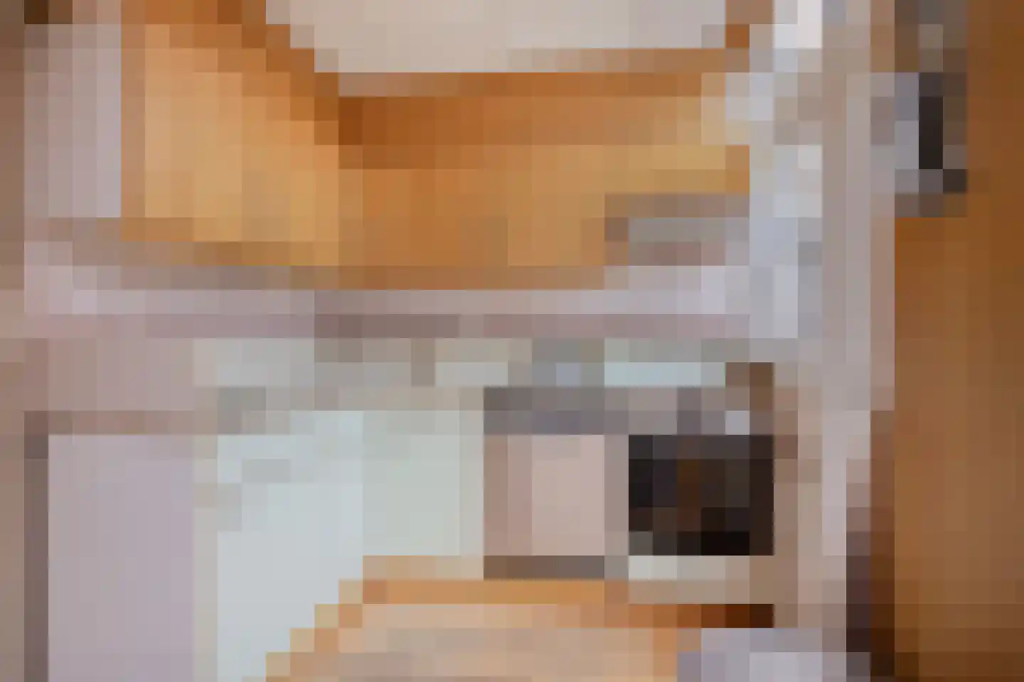 Meindert Hobbemastraat 14 Capelle aan den IJssel thumbnail 6