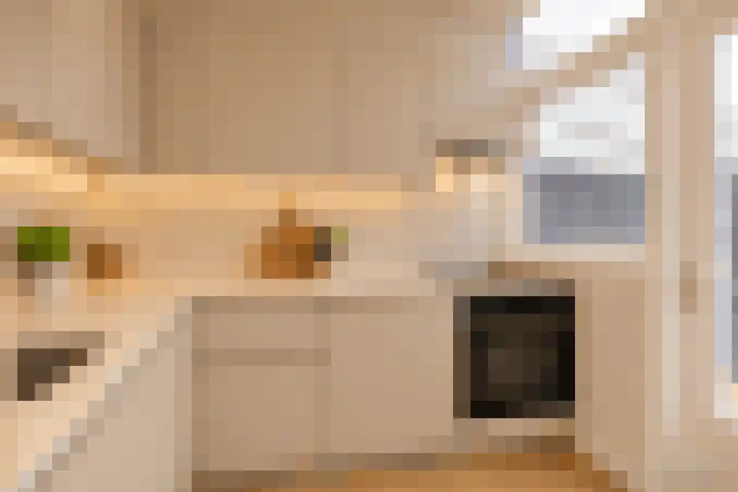 Meindert Hobbemastraat 14 Capelle aan den IJssel thumbnail 8
