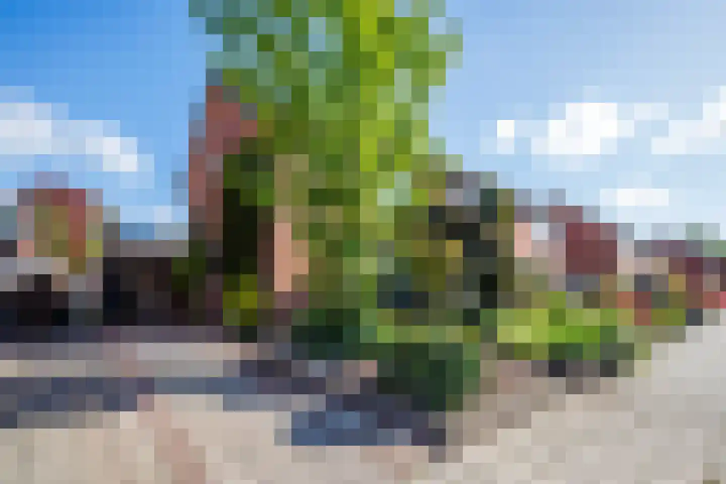 Meindert Hobbemastraat 16 Zelhem thumbnail 35