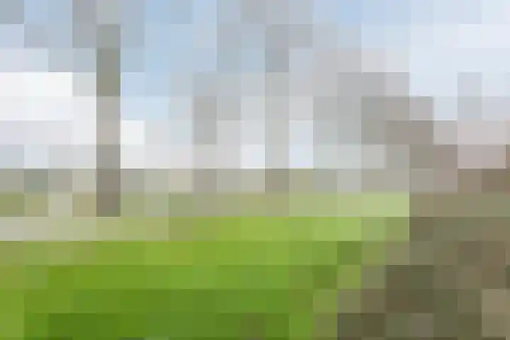 Meindert Hobbemastraat 18 Almere thumbnail 37