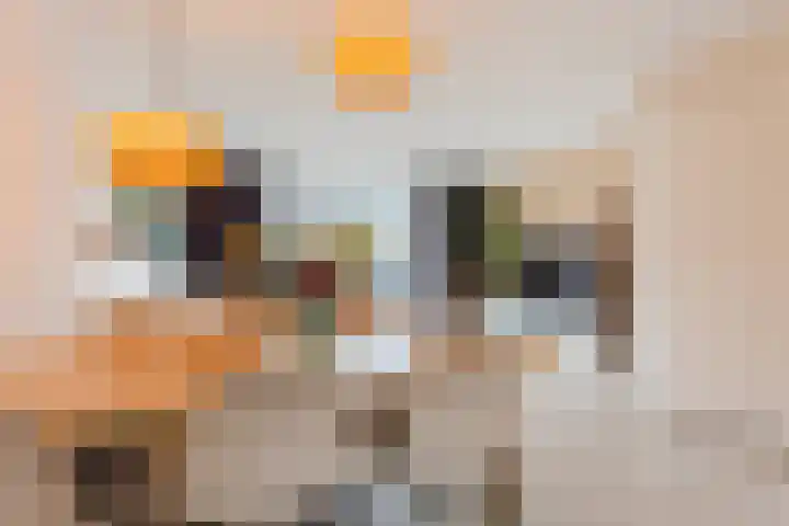 Meindert Hobbemastraat 18 Almere thumbnail 8