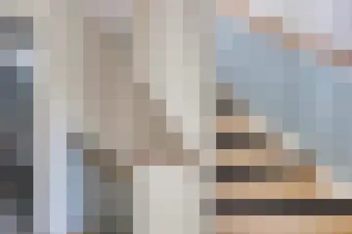 Meindert Hobbemastraat 19 Capelle aan den IJssel thumbnail 12