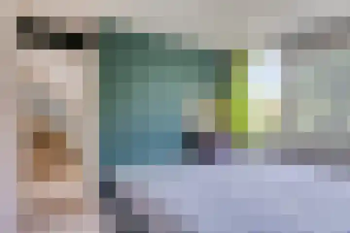 Meindert Hobbemastraat 19 Capelle aan den IJssel thumbnail 13