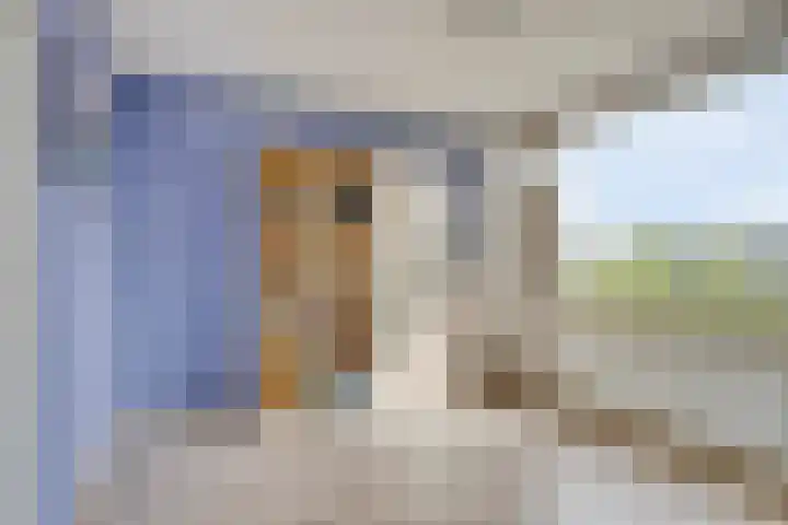 Meindert Hobbemastraat 19 Capelle aan den IJssel thumbnail 15
